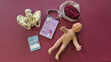 Becken Plazenta und Baby