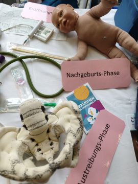 Die verschiedenen Geburtsphase